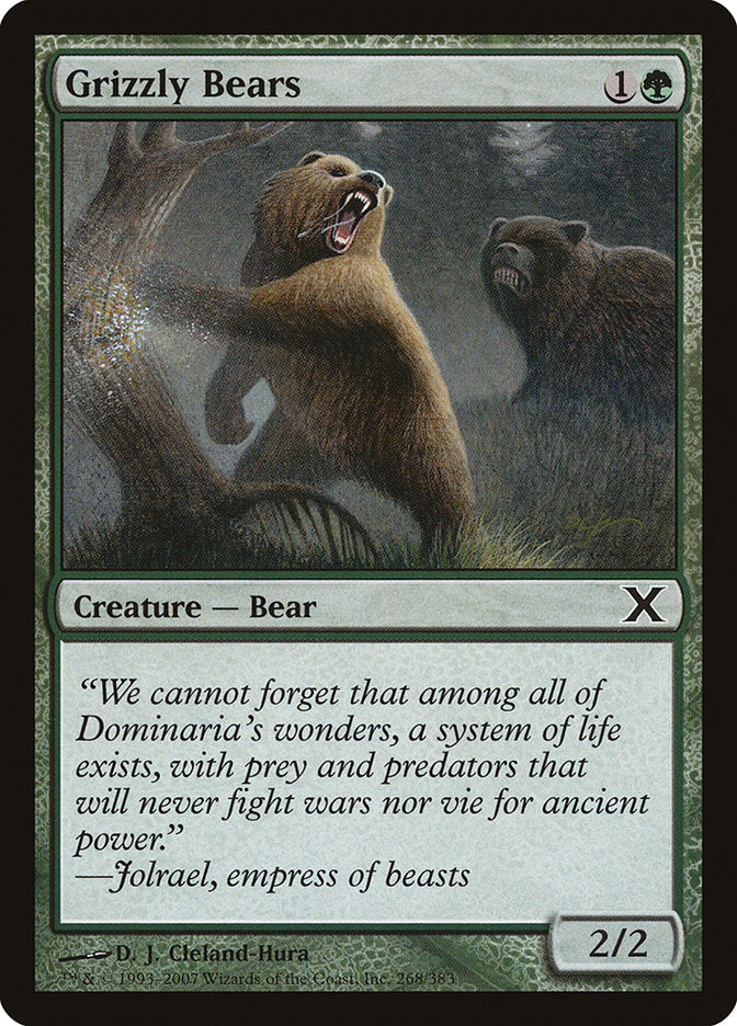 Grizzly Bears - Foil