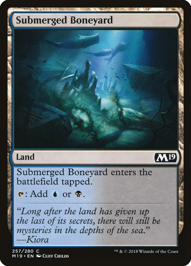 Submerged Boneyard - Foil