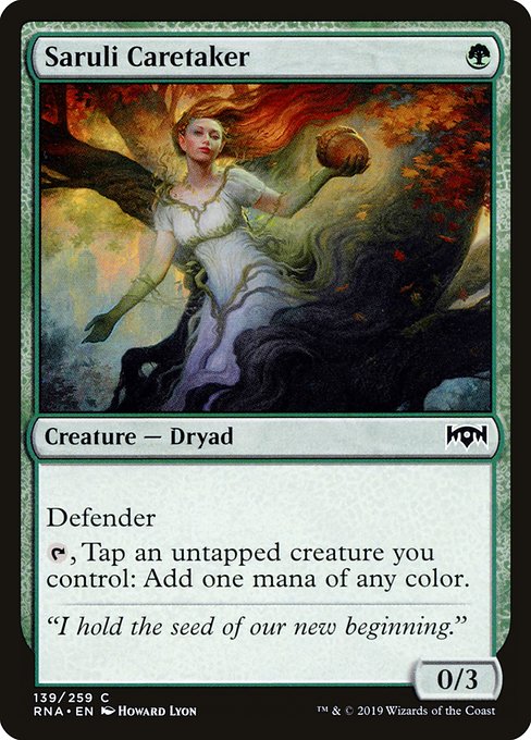 Saruli Caretaker - Foil