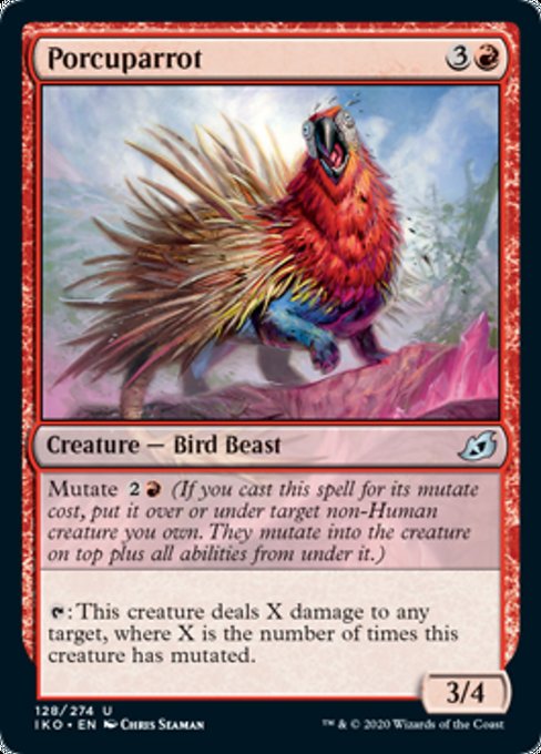 Porcuparrot - Foil
