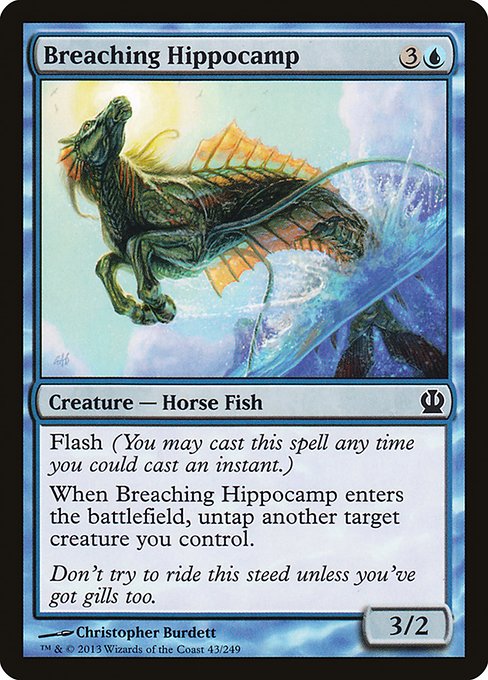 Breaching Hippocamp - Foil