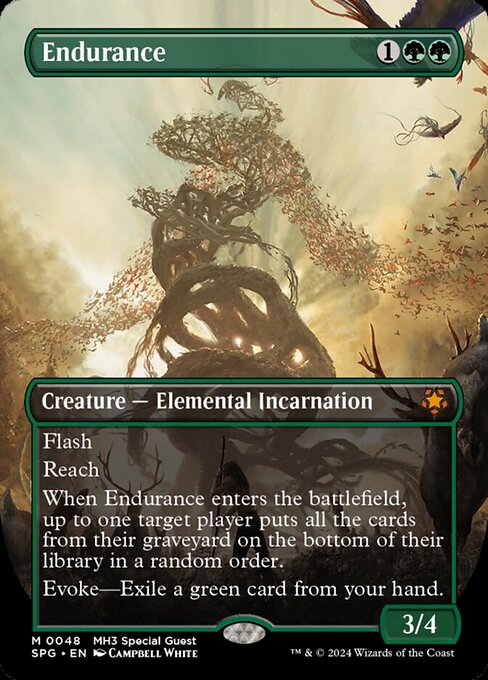 Endurance - Foil