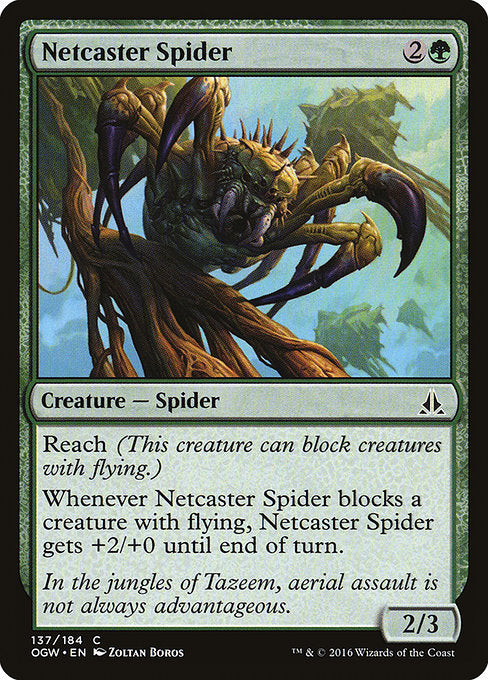 Netcaster Spider - Foil