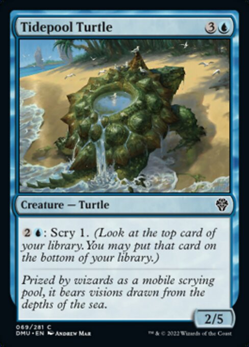 Tidepool Turtle - Foil