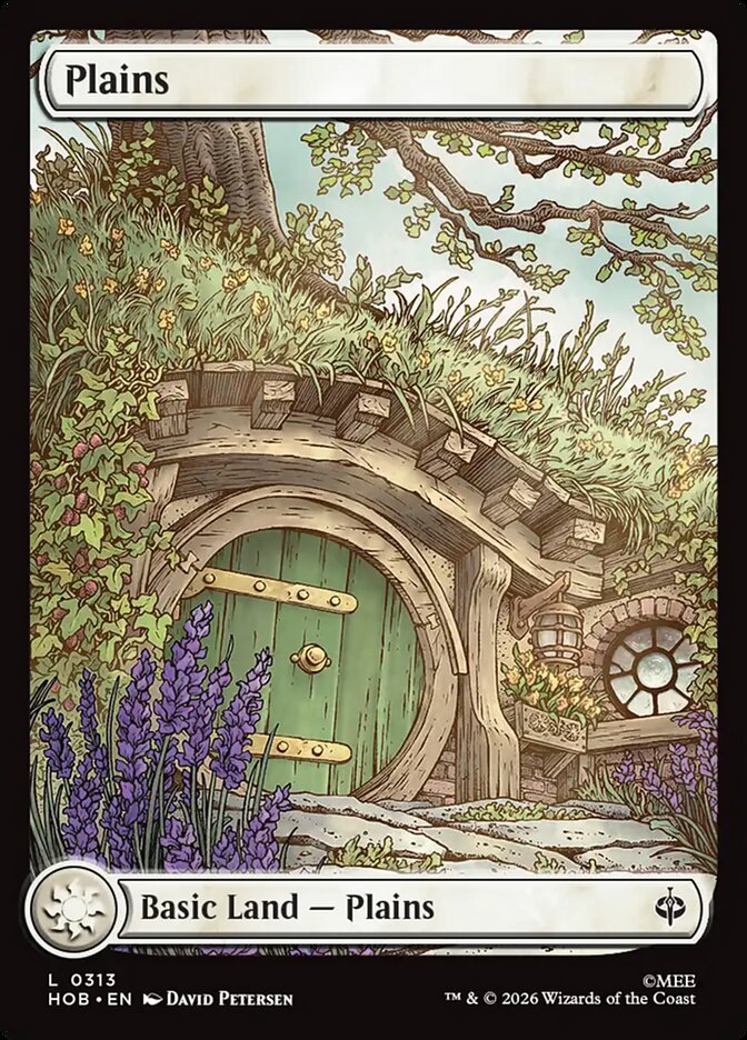 Plains (313) - Full Art - Foil