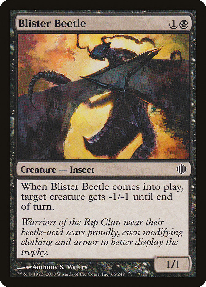 Blister Beetle - Foil