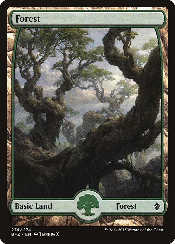 Forest (274) - Full Art - Foil
