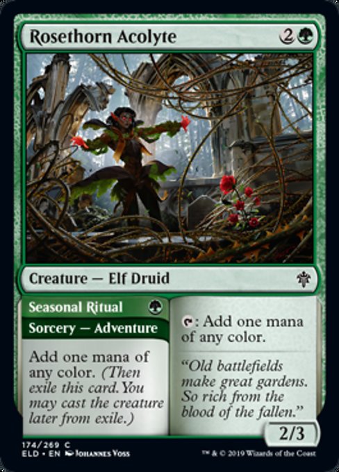Rosethorn Acolyte // Seasonal Ritual - Foil