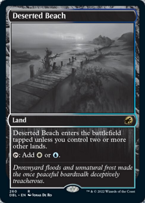 Deserted Beach - Foil