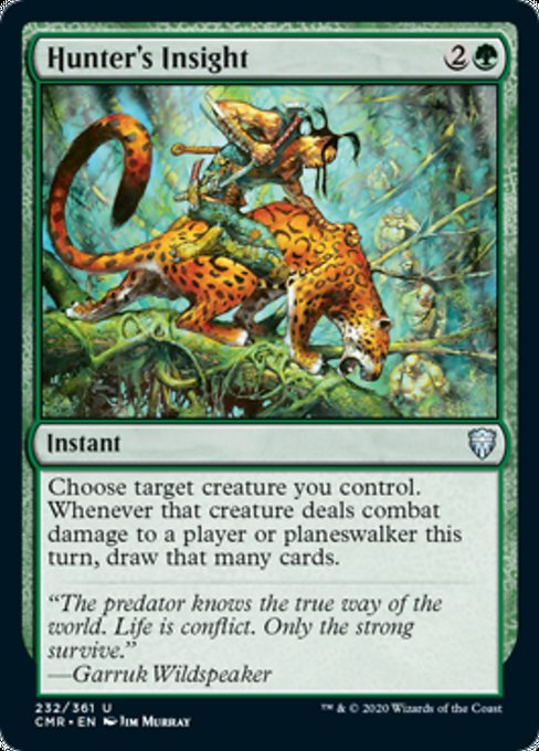 Hunter's Insight - Foil