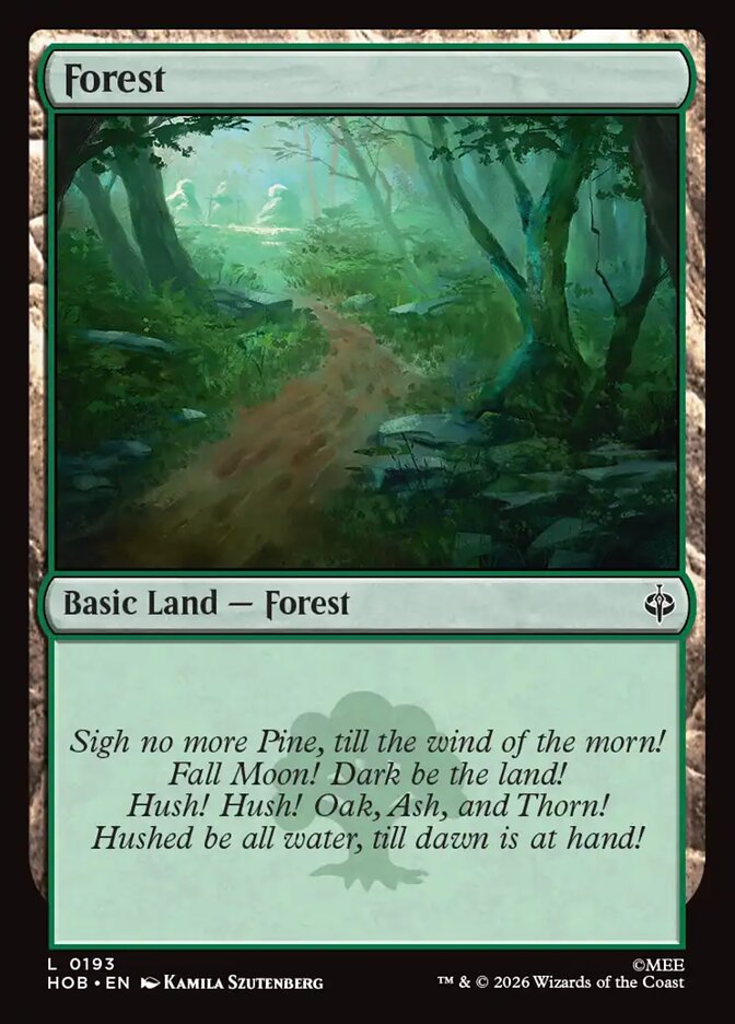 Forest (193) - Full Art - Foil