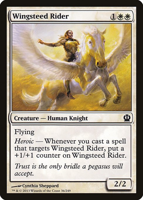 Wingsteed Rider - Foil