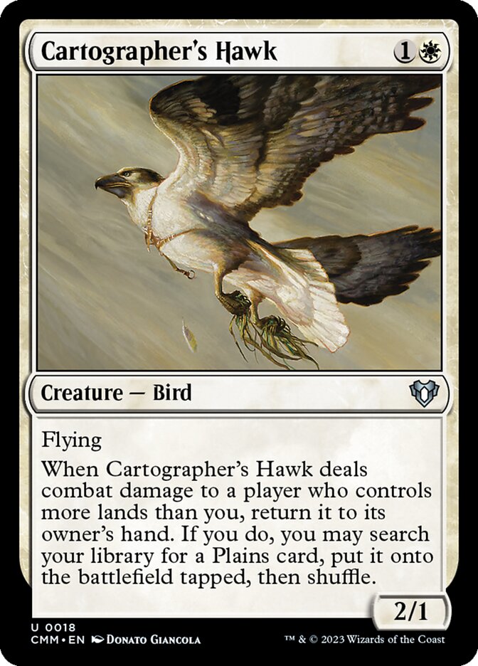 Cartographer's Hawk - Foil