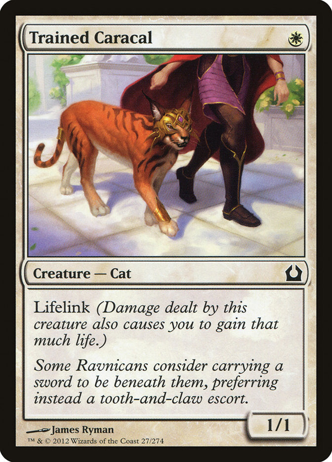 Trained Caracal - Foil