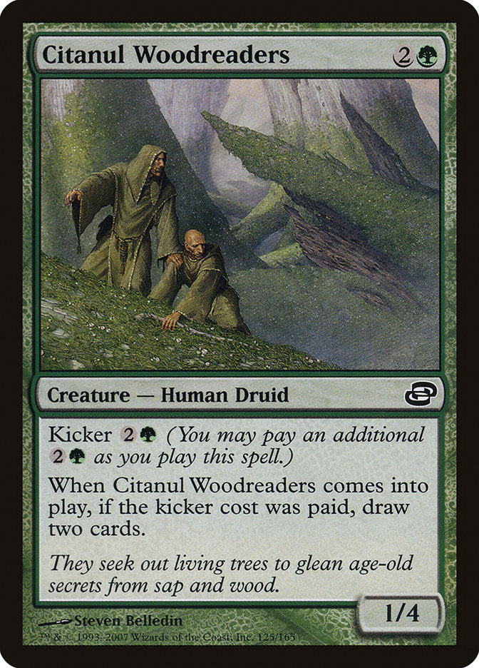 Citanul Woodreaders - Foil