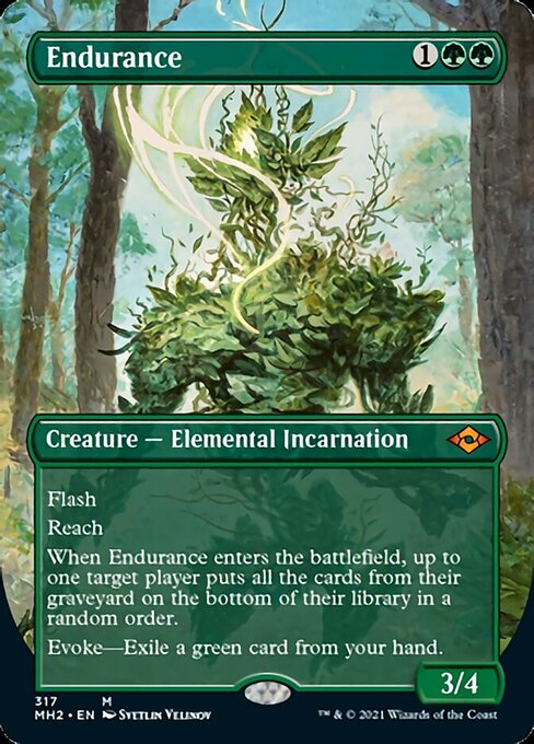 Endurance - Foil