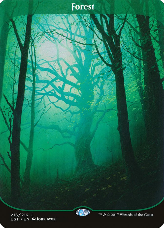 Forest (216) - Full Art - Foil