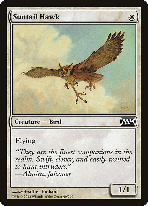 Suntail Hawk - Foil